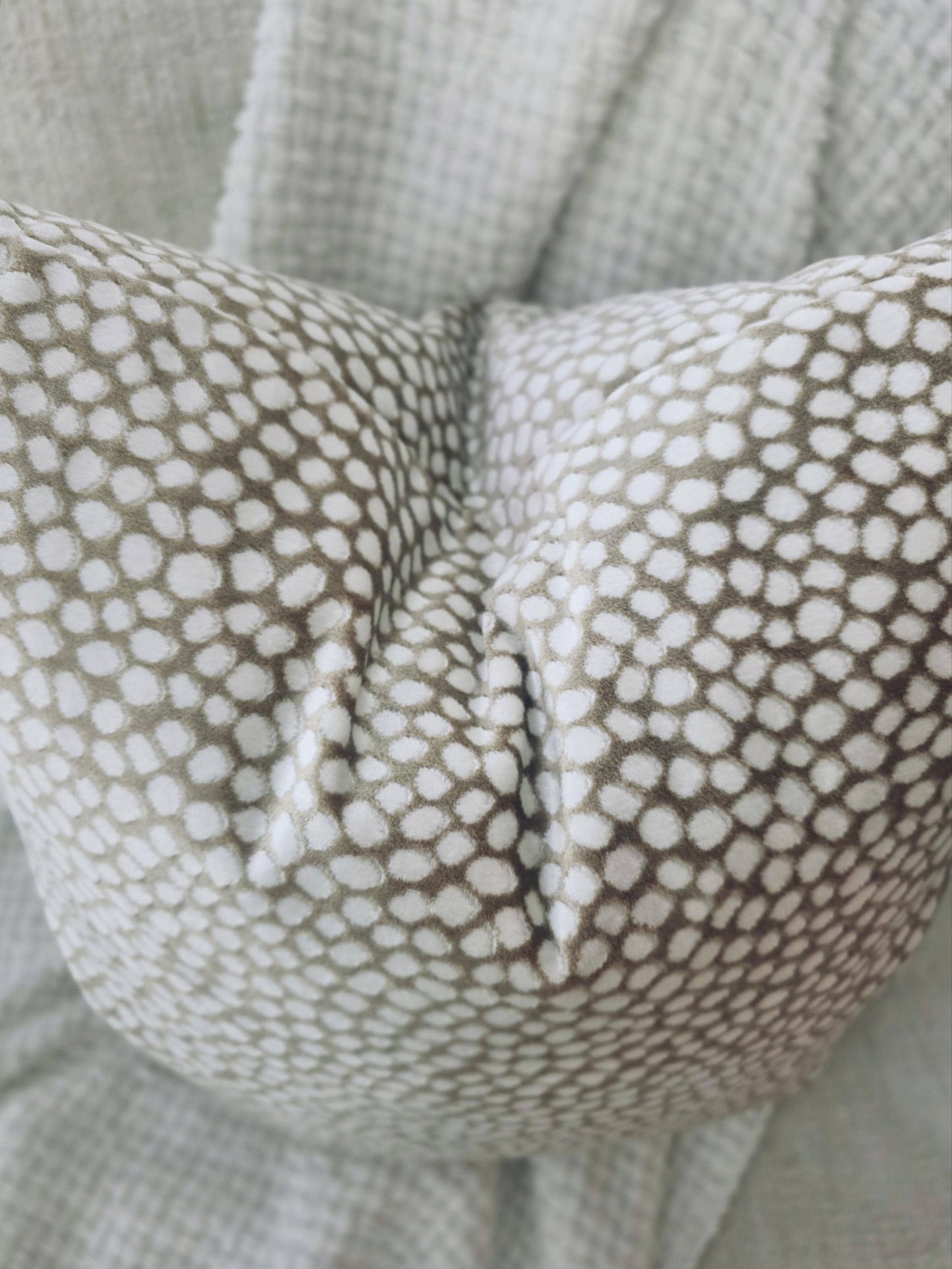 Cream Animal Print Dot Pillow Cover