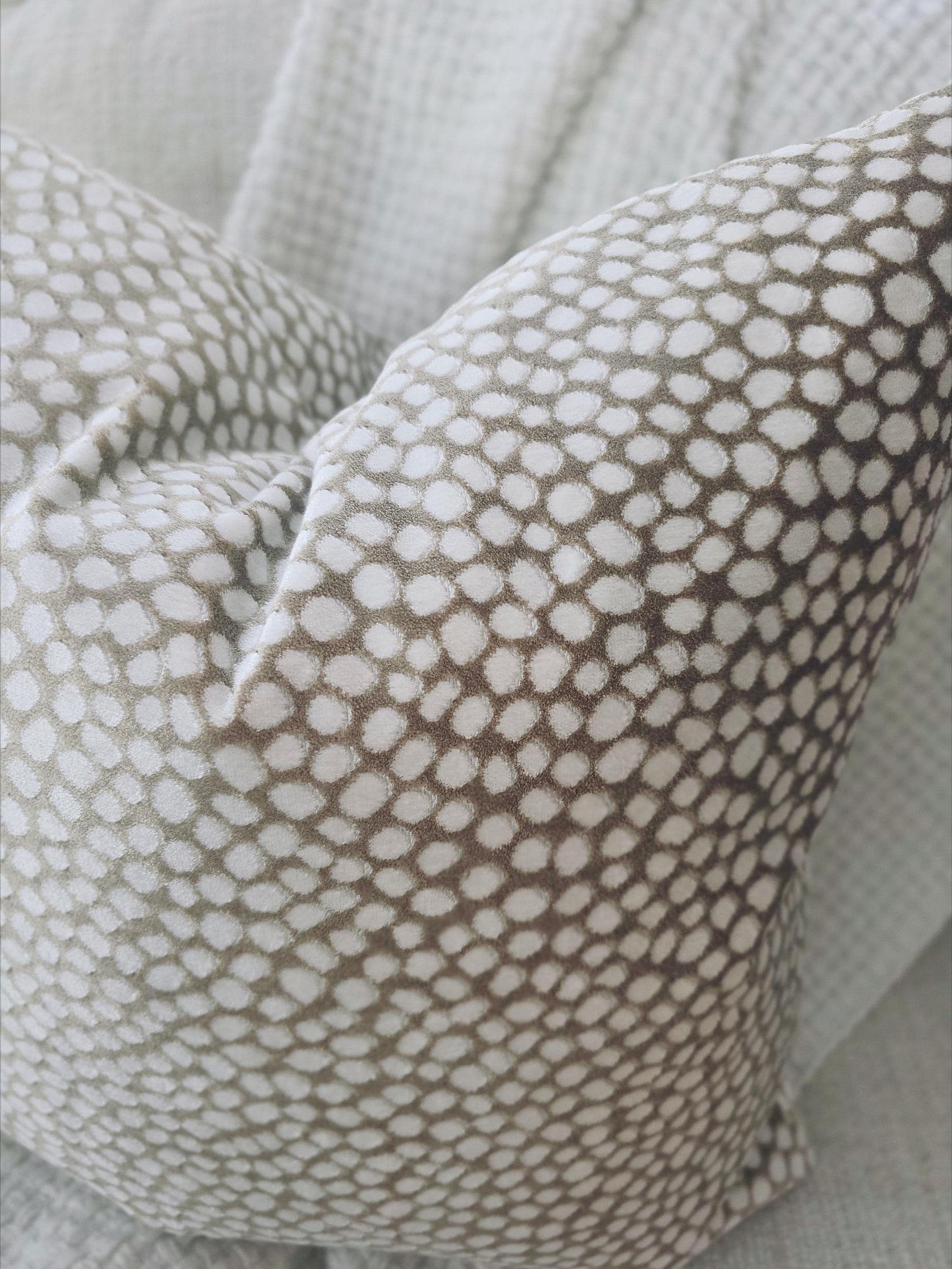 Cream Animal Print Dot Pillow Cover