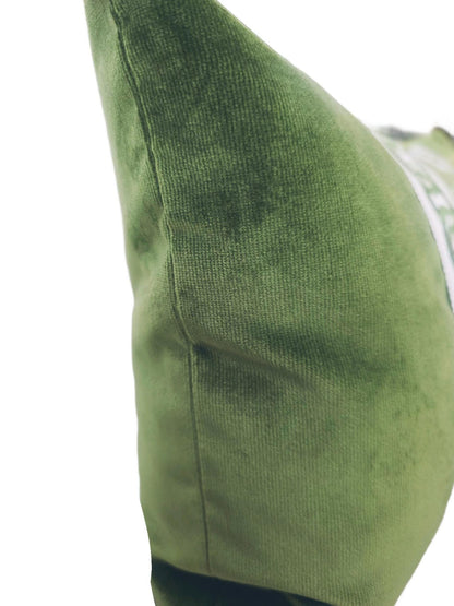 Lime Green Velvet with Green Trim Pillow Cover